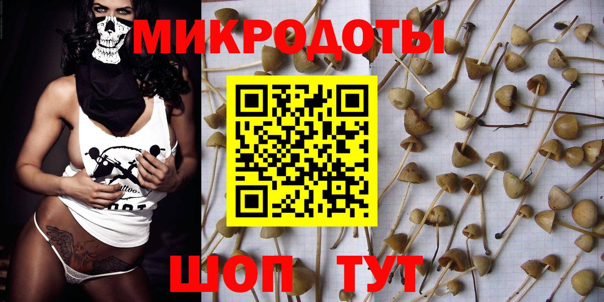 Галлюциногенные грибы прущие грибы Туймазы