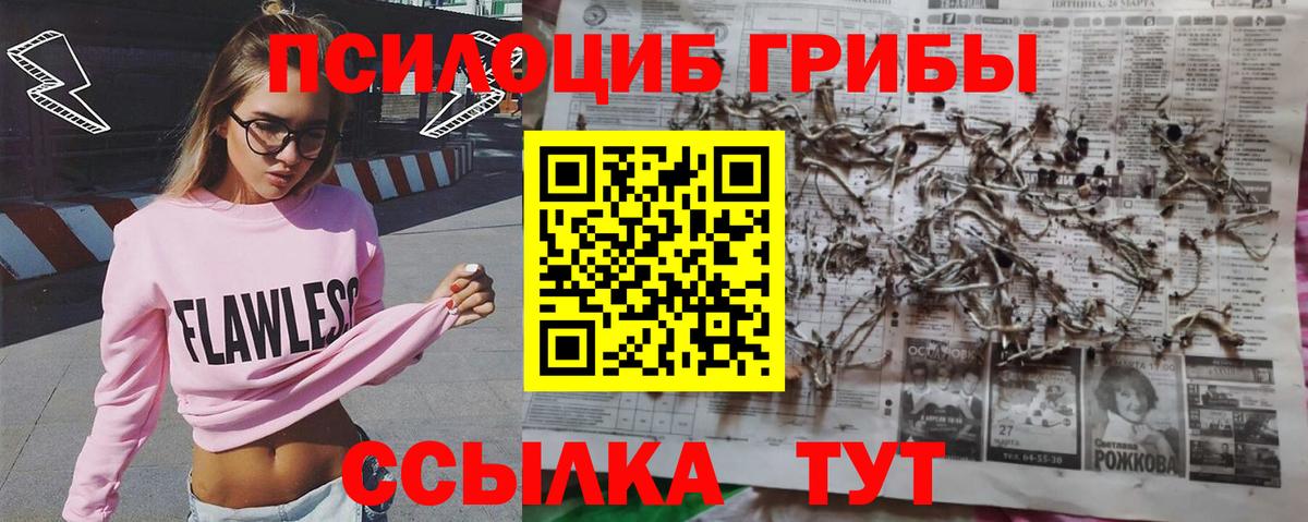 купить  цена  Вход с VPN  Туймазы  Галлюциногенные грибы Psilocybine cubensis 